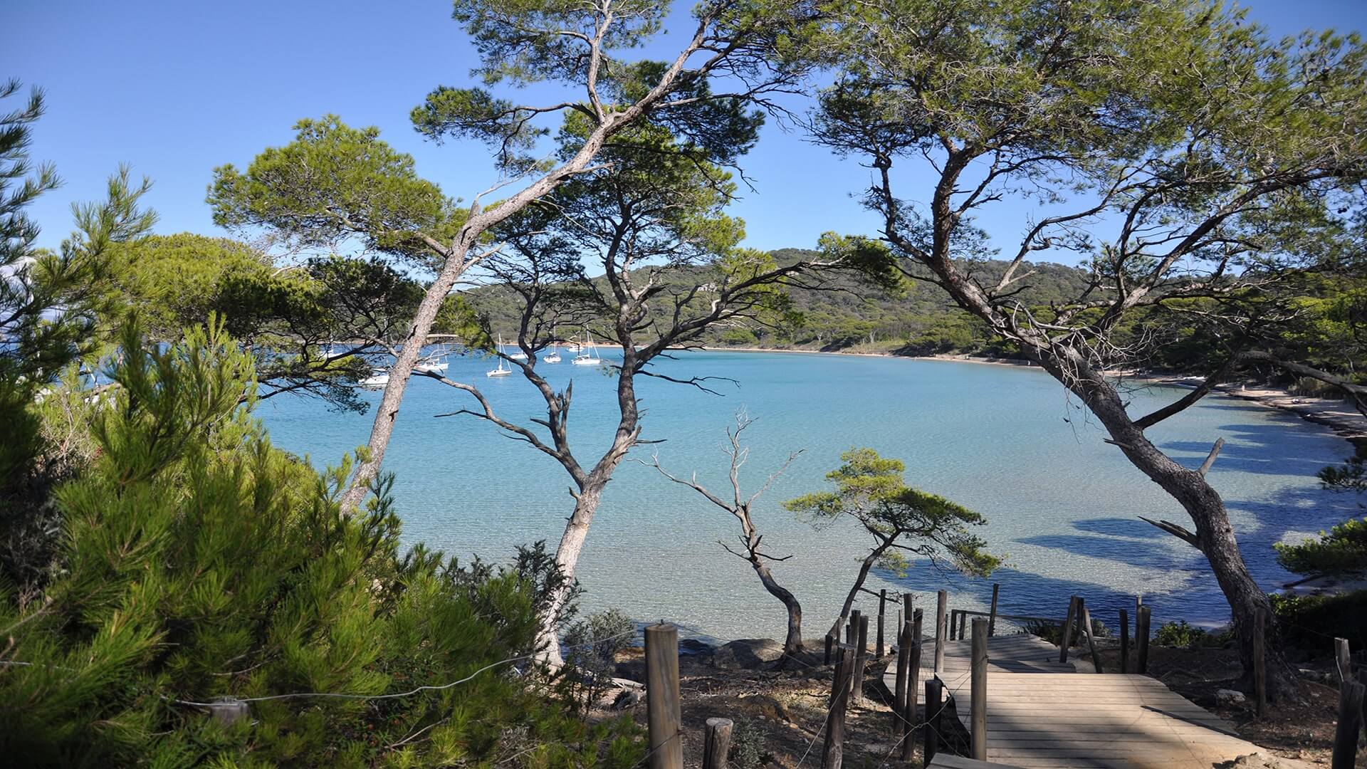 Location vélo Porquerolles